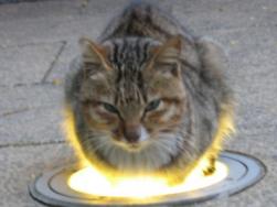1759227190370.jpg