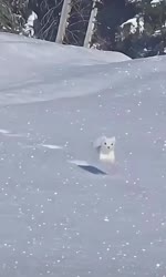 1759245291523.webm