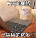 110 KB