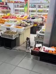 1759283277949.webm