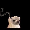 1759305804031.gif