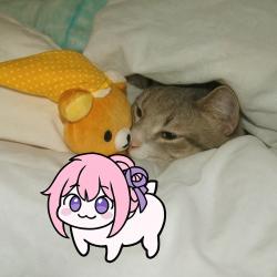 1759337966741.png
