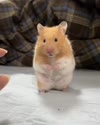 1759340918183.webm