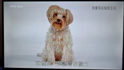 1759384651531.webm