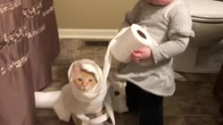 1759413417759.webm