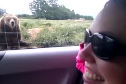 1759417086084.webm