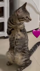 1759422395429.webm