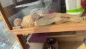 1759423402448.webm