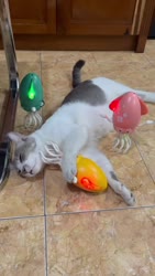 1759430021082.webm