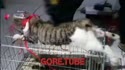 1759461298325.webm