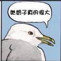 1759464563346.jpg