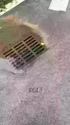 1339 KB