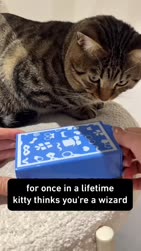 733 KB
