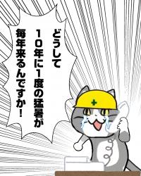 891 KB