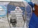 379 KB