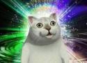126 KB