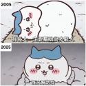 144 KB
