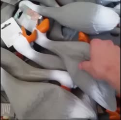 1167 KB