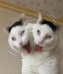 183 KB