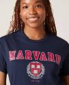 19 KB