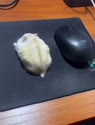 1162 KB