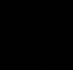 4869 KB
