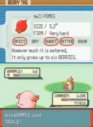 123 KB