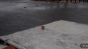 579 KB