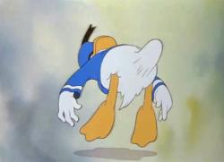 481 KB