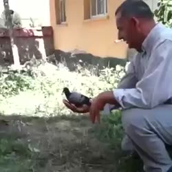 259 KB