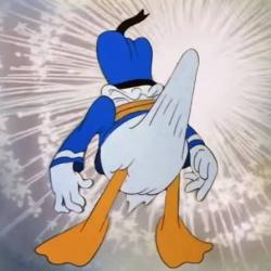50 KB