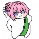 1019 KB