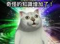 65 KB