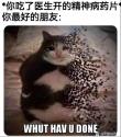 50 KB
