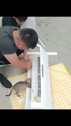 1782344587440.webm