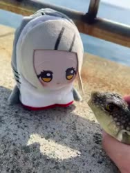 1782361596264.webm