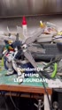 1782379924879.webm