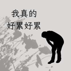 1782386518944.png