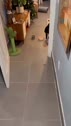 1782402859733.webm