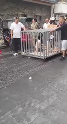 1782406661502.webm