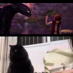 1782421025868.webm