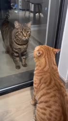 1782460611125.webm