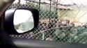 1782473100097.webm