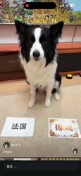 1782490929463.webm