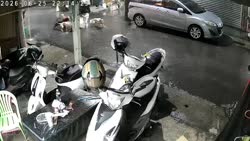 1782520678704.webm