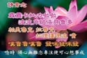 1782529100310.webm