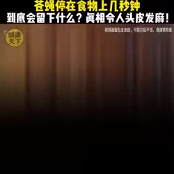 1782537124101.webm