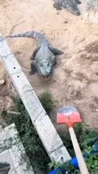 1782539715083.webm