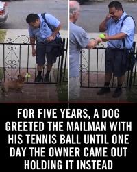 1782540058158.jpg