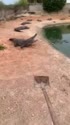 1782546449686.webm